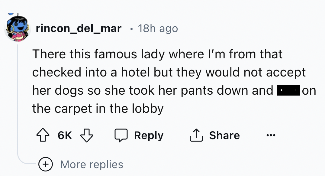 screenshot - rincon_del_mar 18h ago There this famous lady where I'm from that checked into a hotel but they would not accept her dogs so she took her pants down and the carpet in the lobby. on 6K More replies